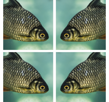 Dessous de verre geek image de poisson réaliste - TenStickers