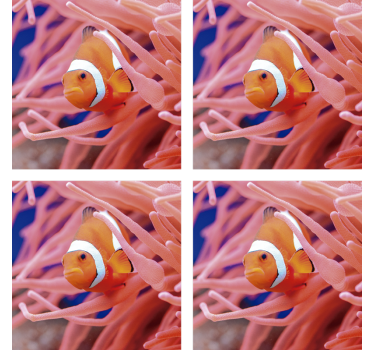 Dessous de verre moderne scène sous-marine de clownfish - TenStickers