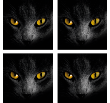 Chat noir halloween dessous de verre - TenStickers