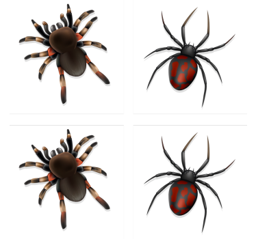 Dessous de verre halloween collection araignées effrayantes - TenStickers