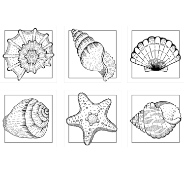Dessous de verre motifs de coquillages complexes - TenStickers