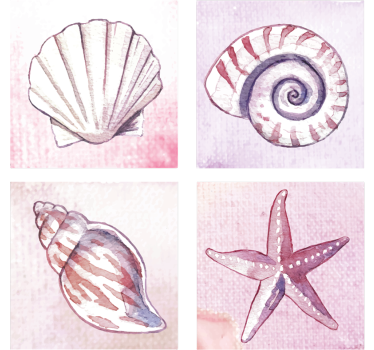 Dessous de verre aquarelles de coquillages naturels - TenStickers