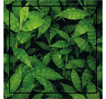 Dessous de verre motif feuilles vertes luxuriantes - TenStickers
