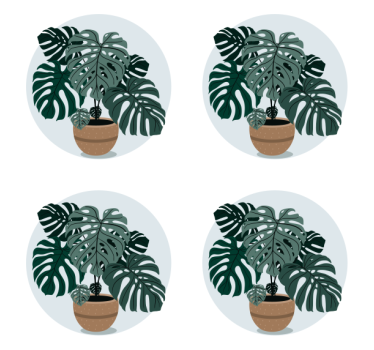 Dessous de verre moderne illustration de plante monstera - TenStickers