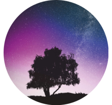 Dessous de verre moderne arbre de nuit Étoilée - TenStickers