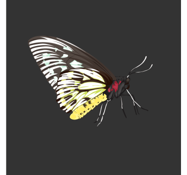 Dessous de verre geek art de papillon coloré - TenStickers
