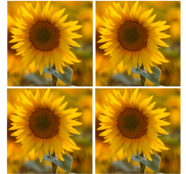 Dessous de verre moderne arrangement de tournesols vibrant - TenStickers
