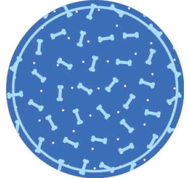 Dessous de verre motif os en cercle - TenStickers
