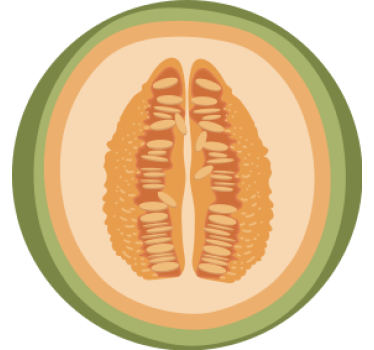 Dessous de verre geek motifs de tranches de fruits - TenStickers