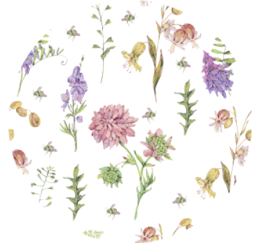 Dessous de verre motifs floraux élégants - TenStickers