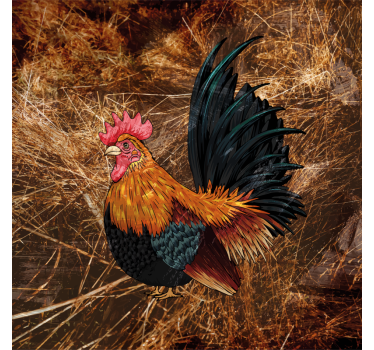 Dessous de verre vintage art de coq coloré - TenStickers