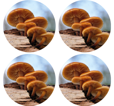 Dessous de verre moderne arrangement de champignons - TenStickers