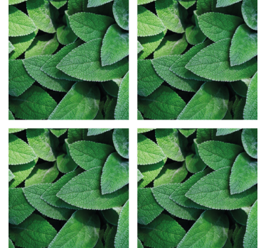 Dessous de verre motif feuilles vertes vibrantes - TenStickers