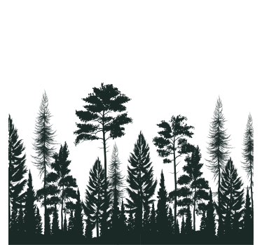 Dessous de verre silhouette de grands pins - TenStickers