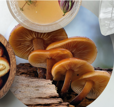 Dessous de verre moderne arrangement de champignons - TenStickers