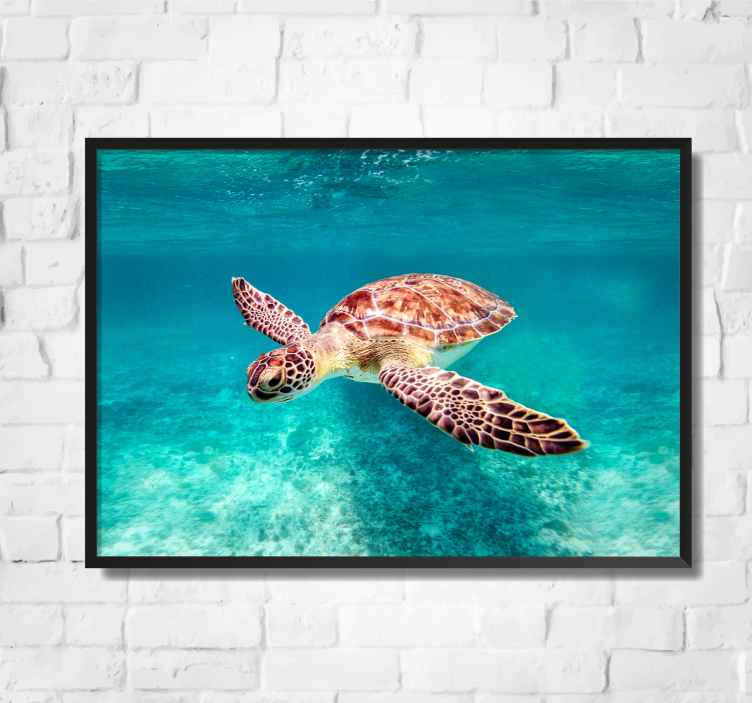 Poster image tortue de mer - TenStickers