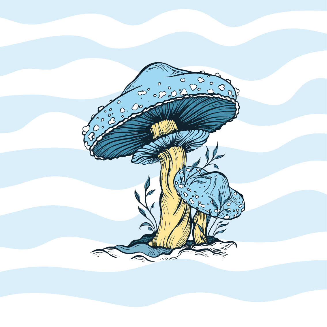 Affiche cuisine illustration de champignon bleu - TenStickers