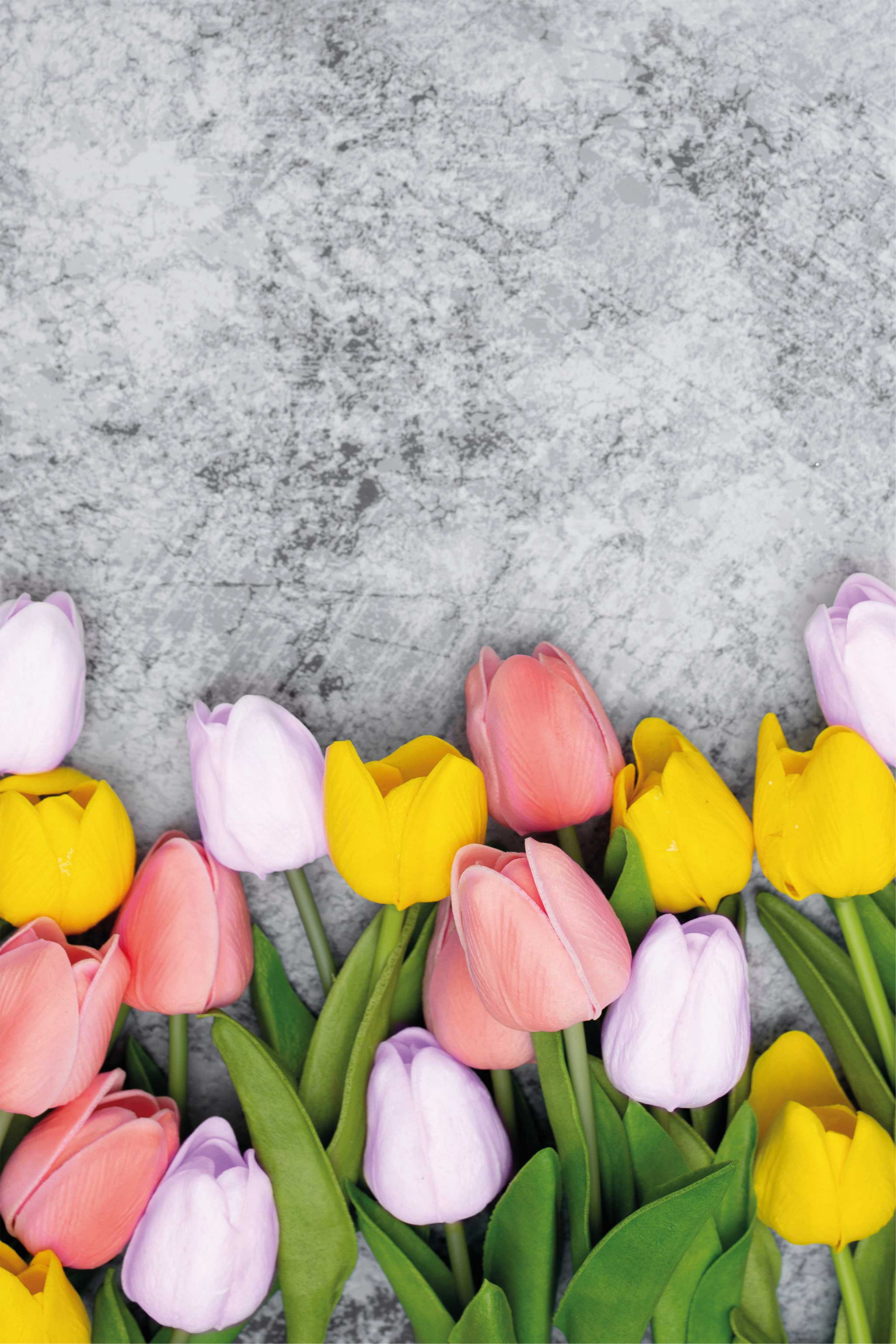 Affiche cuisine fleurs de tulipes similaires - TenStickers