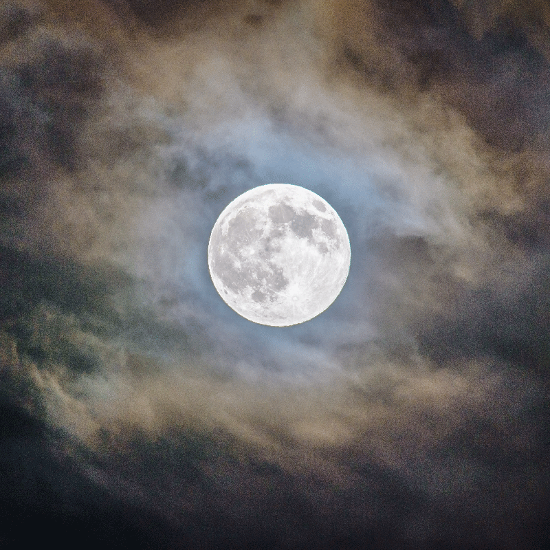 Affiche pour salon nuit de pleine lune - TenStickers