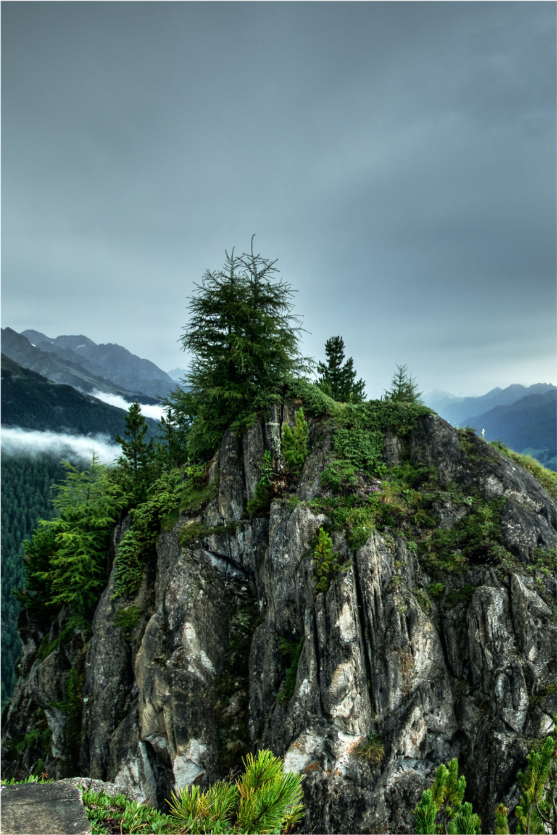 Affiche pour salon roche unique dans la forêt verte - TenStickers