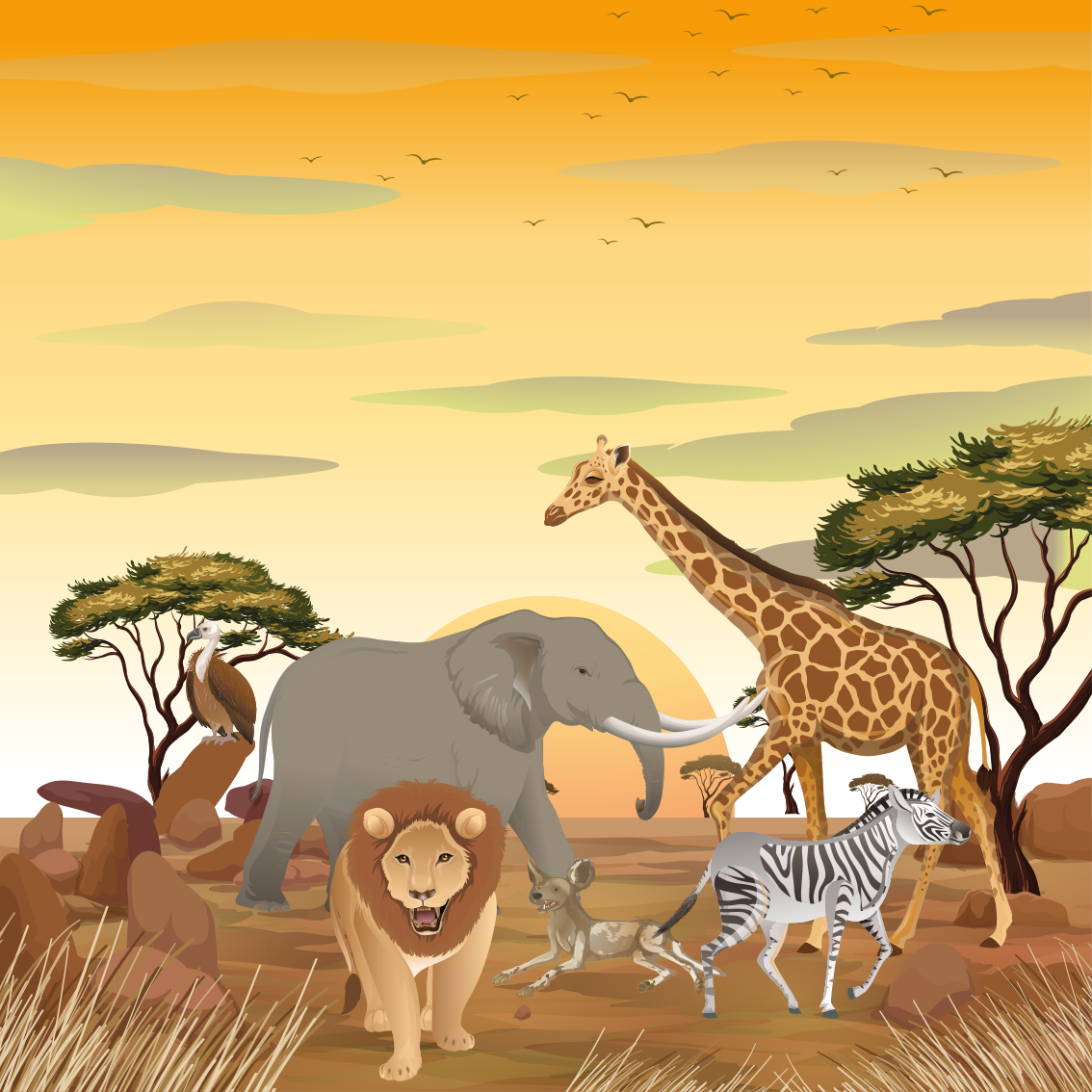 Affiche chambre enfant animaux africains et plantes - TenStickers