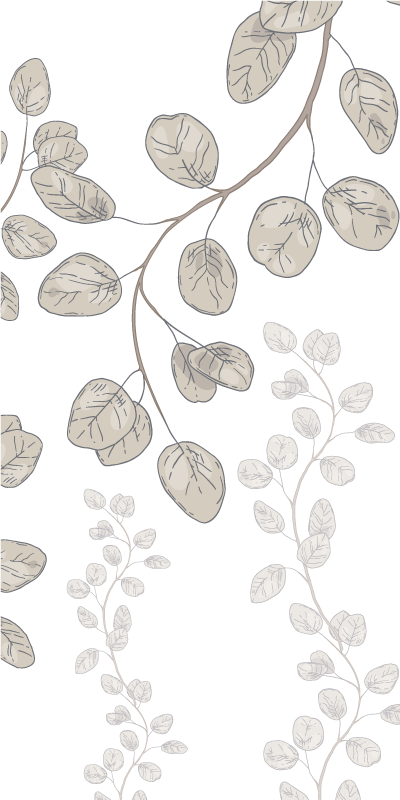 Affiche plantes jeunes feuilles style provençal - TenStickers