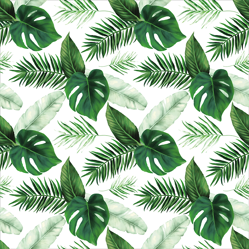 Affiche plantes dessin de feuilles tropicales - TenStickers