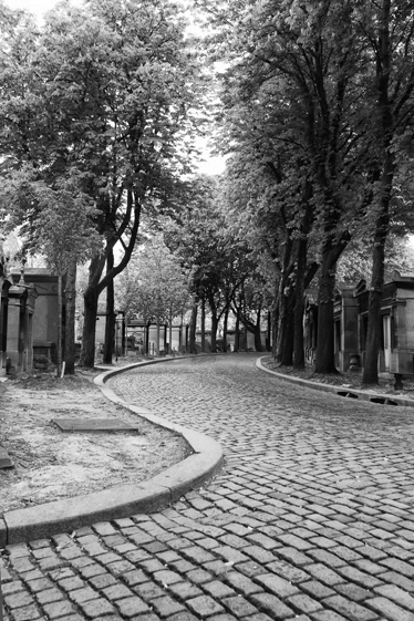 Poster paysage chemin en vinyle noir et blanc - TenStickers