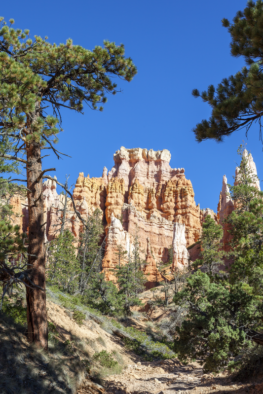 Poster paysage bryce canyon envoûtant - TenStickers