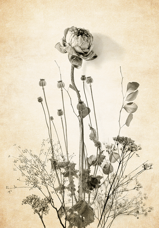Affiche fleurs bouquet de fleurs sur fond beige - TenStickers