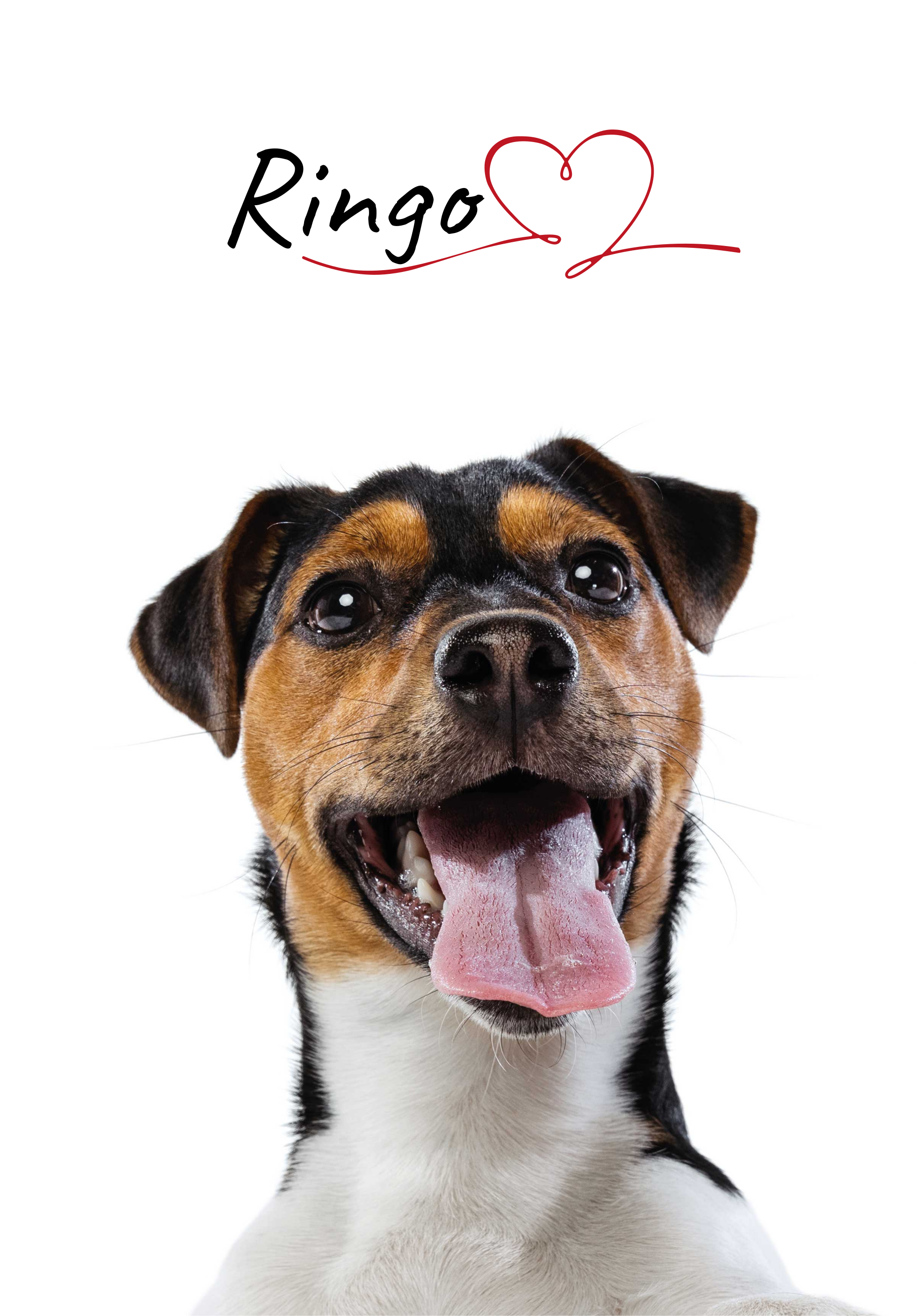 Poster chien personnalisé amour - TenStickers