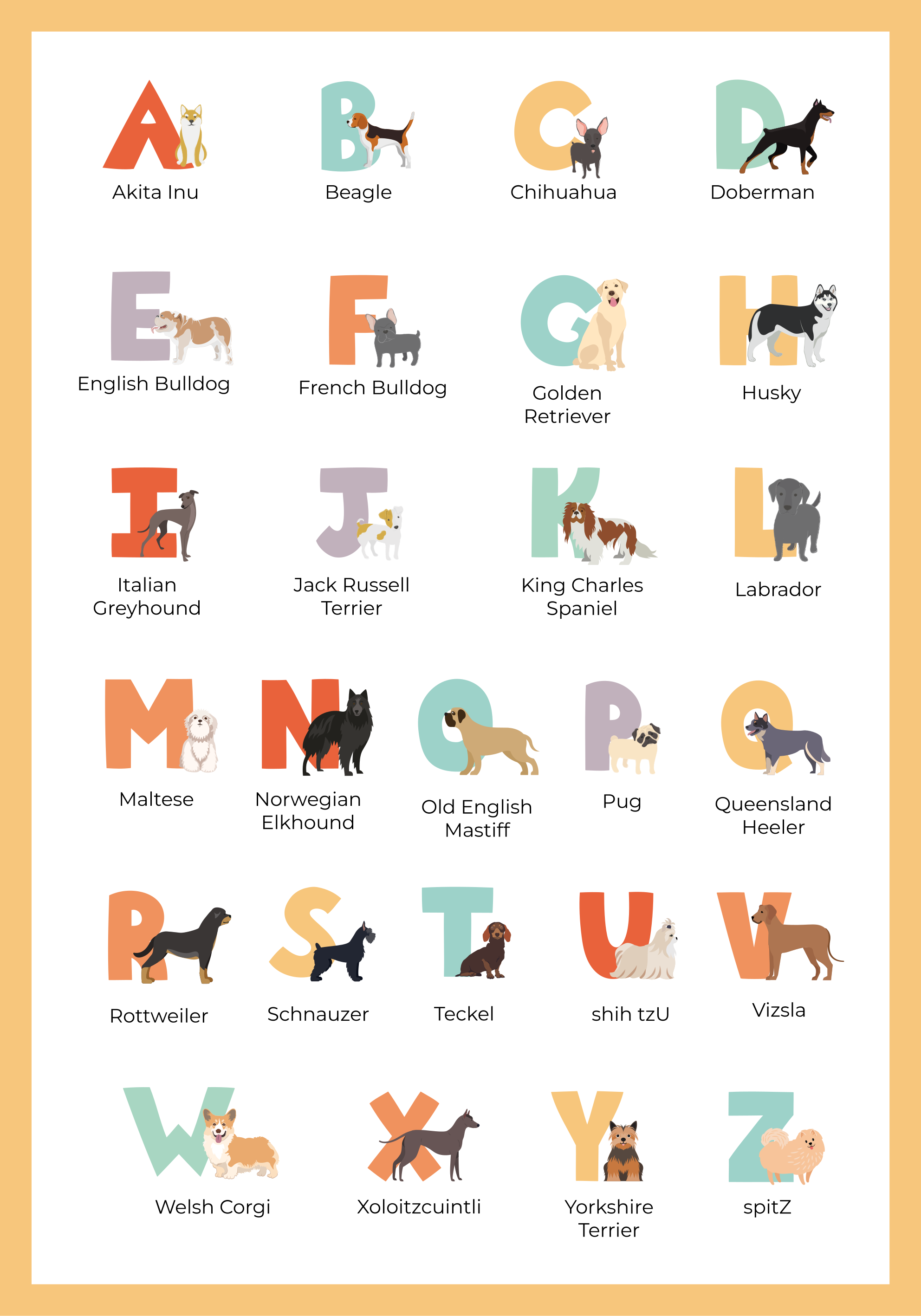 Poster alphabet races de chien - TenStickers