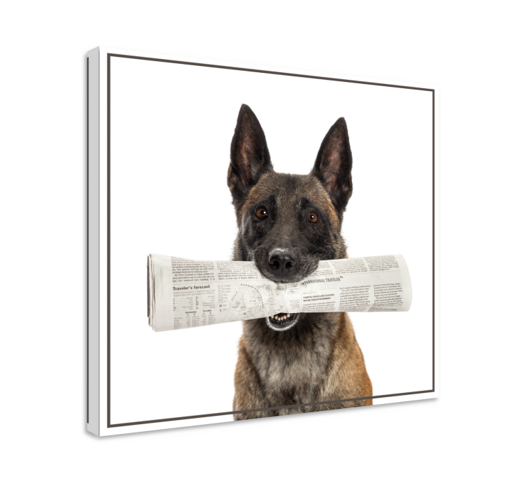 Tableau chiens chien portant un journal - TenStickers