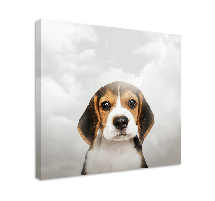 Tableau chiens portrait de beagle - TenStickers