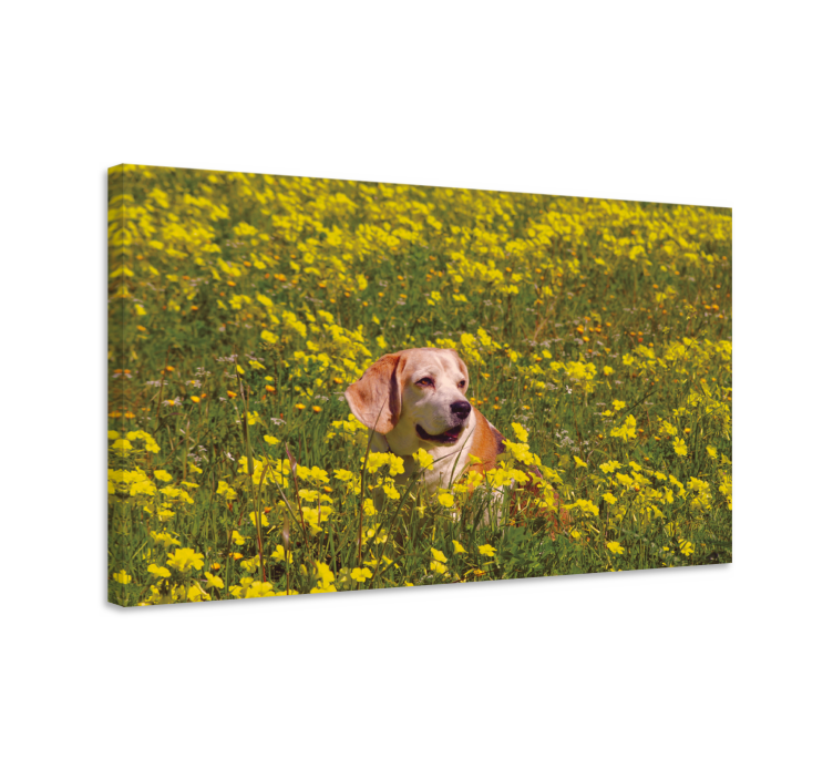 Tableau chiens heureux toutou en plein air - TenStickers