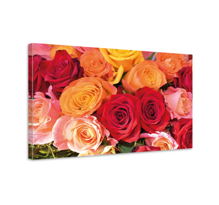 Tableau fleurs Roses rouges et roses orange - TenStickers