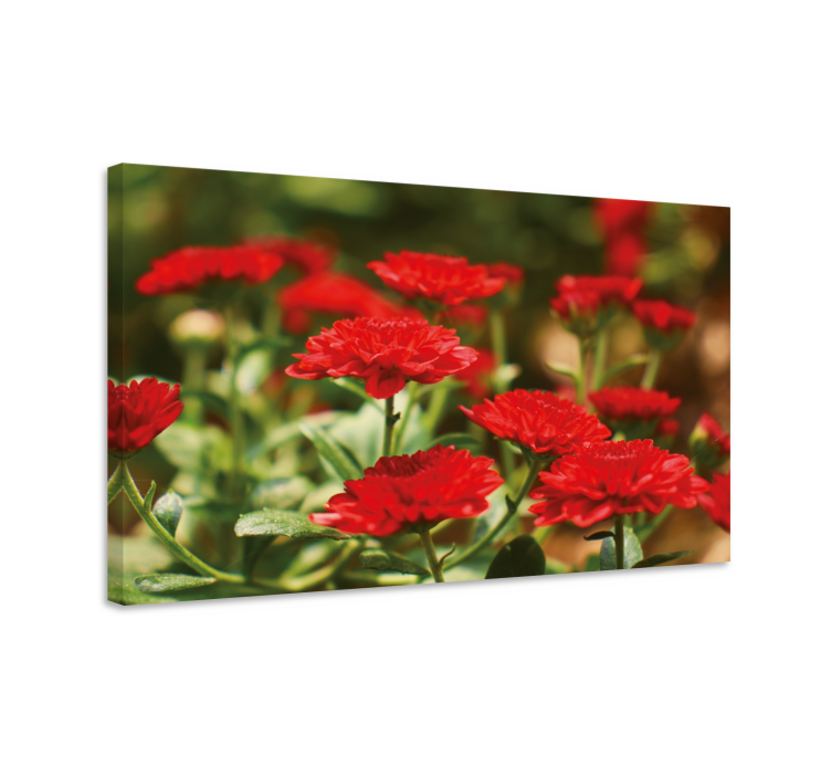 Tableau fleurs et plantes fleurs rouges en éclosion - TenStickers