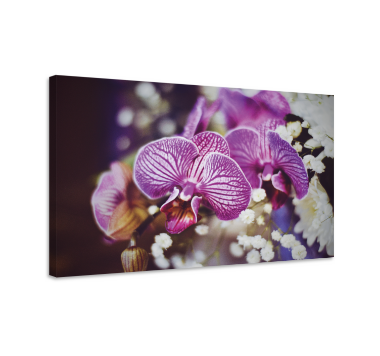 Tableau fleurs et plantes détails des fleurs d'orchidées - TenStickers