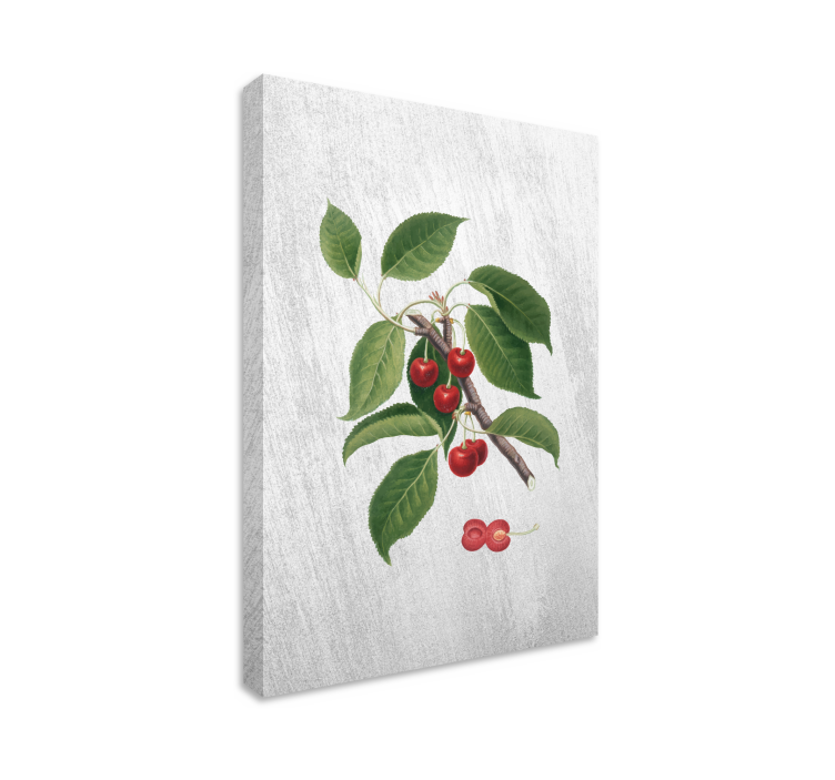Tableau fruits branche de cerises détail - TenStickers