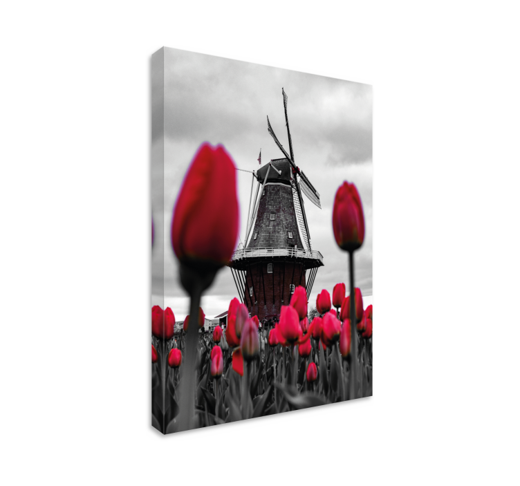 Tableau paysage moulin et tulipes - TenStickers
