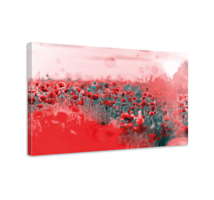 Tableau fleurs champ de coquelicots vivant - TenStickers