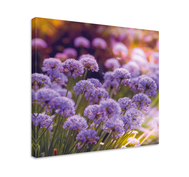 Tableau fleurs et plantes fleurs violettes éclatantes - TenStickers