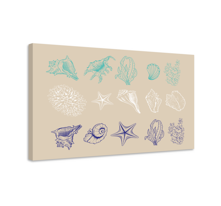 Tableau mer collection de coquillages côtiers - TenStickers
