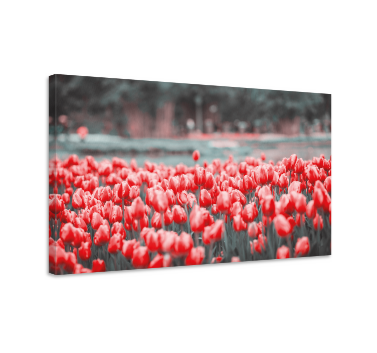 Tableau fleurs et plantes champ de tulipes vibrant - TenStickers