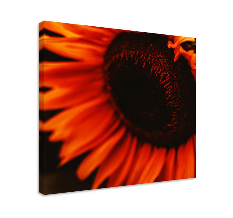 Tableau fleurs et plantes floraison radieuse de tournesol - TenStickers