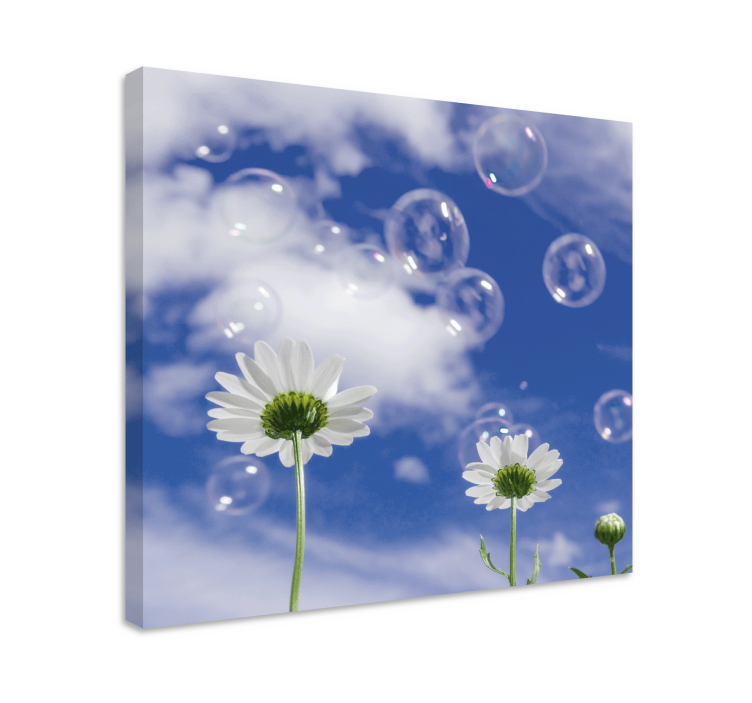 Tableau fleurs et plantes marguerites et bulles - TenStickers
