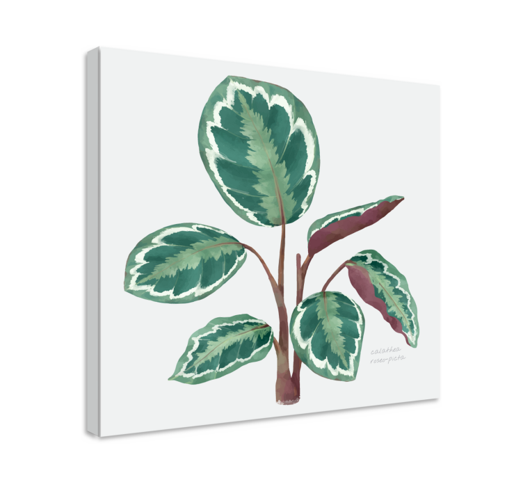 Tableau fleurs et plantes plante à feuilles vibrantes - TenStickers