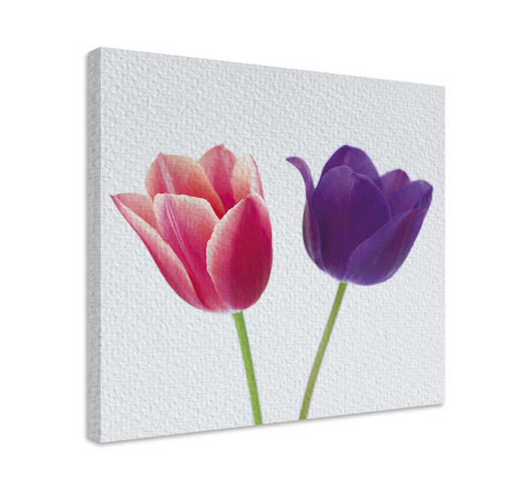 Tableau fleurs et plantes arrangement de tulipes - TenStickers