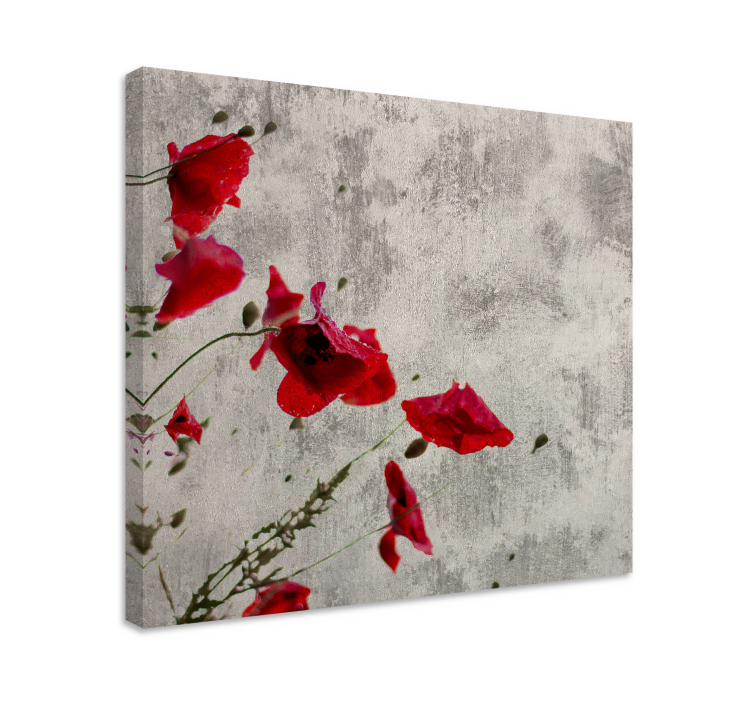 Tableau fleurs et plantes fleurs de pavot rouge - TenStickers