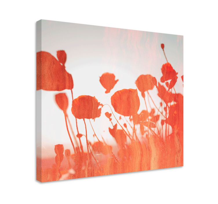 Tableau fleurs et plantes coquelicots délicats en fleurs - TenStickers